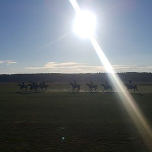 Meet your Posher, Shaum